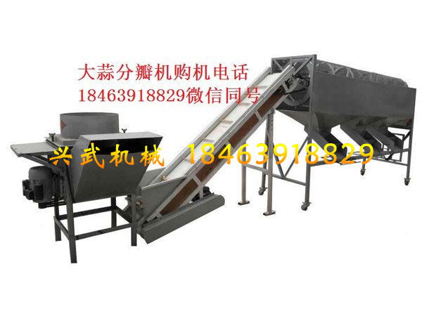 大蒜分瓣分選機.jpg 大蒜分瓣分選機