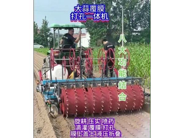 大蒜洋蔥覆膜打孔一體機(jī)視頻